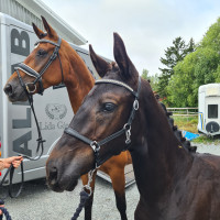 Madeleine Lundströms profilbild