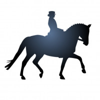 Crane Hill Stables profilbild