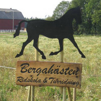 Bergahästen ABs profilbild