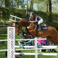 Kåregren Hästs profilbild