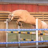 Stall Gummebos profilbild