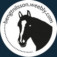 Bengt Nilssons profilbild