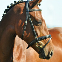 Stall Borsséns profilbild