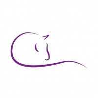 Sunnanväder Equestrians profilbild