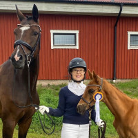 Stall Graces profilbild