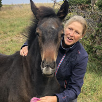 Anne Fyhrs profilbild