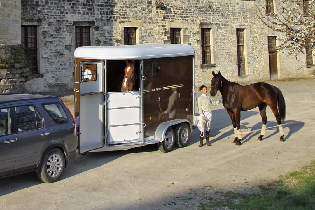 Fautras – en lugn och trygg resa för din häst
