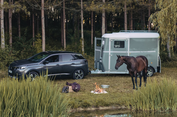 Fautras – Aldrig mer en svårlastad häst